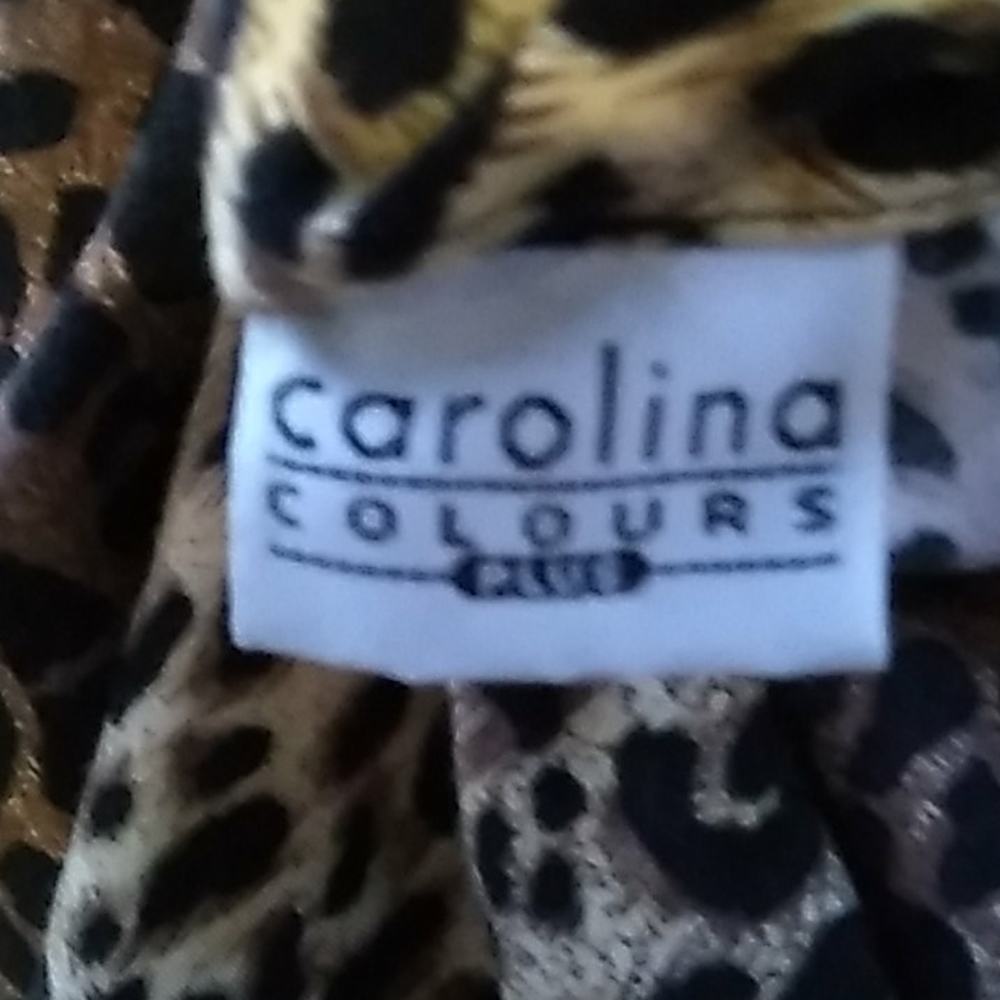 Eus "Carolina Colours"Button Down Leopard Print Dr - image 8